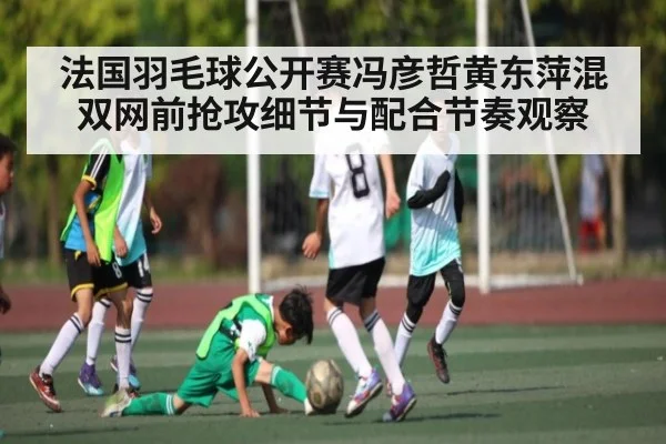 法国羽毛球公开赛冯彦哲黄东萍混双网前抢攻细节与配合节奏观察